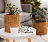 Furnishing trends to adopt in 2025