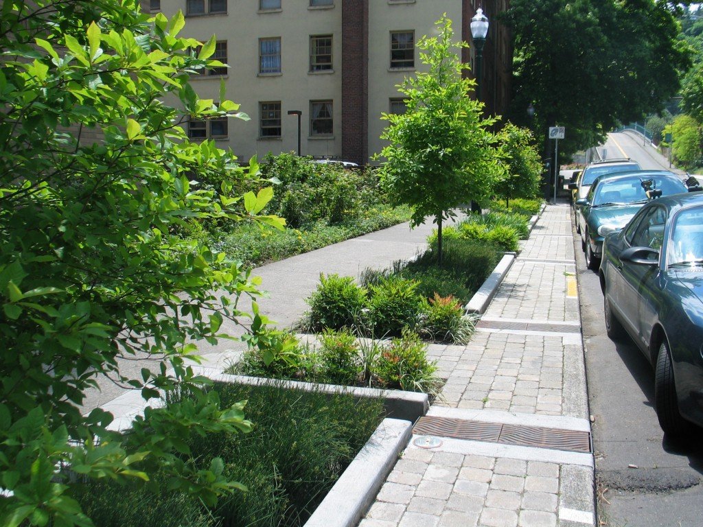 Pavement with landscaped boundary between runway and building, with visible water drainage.
