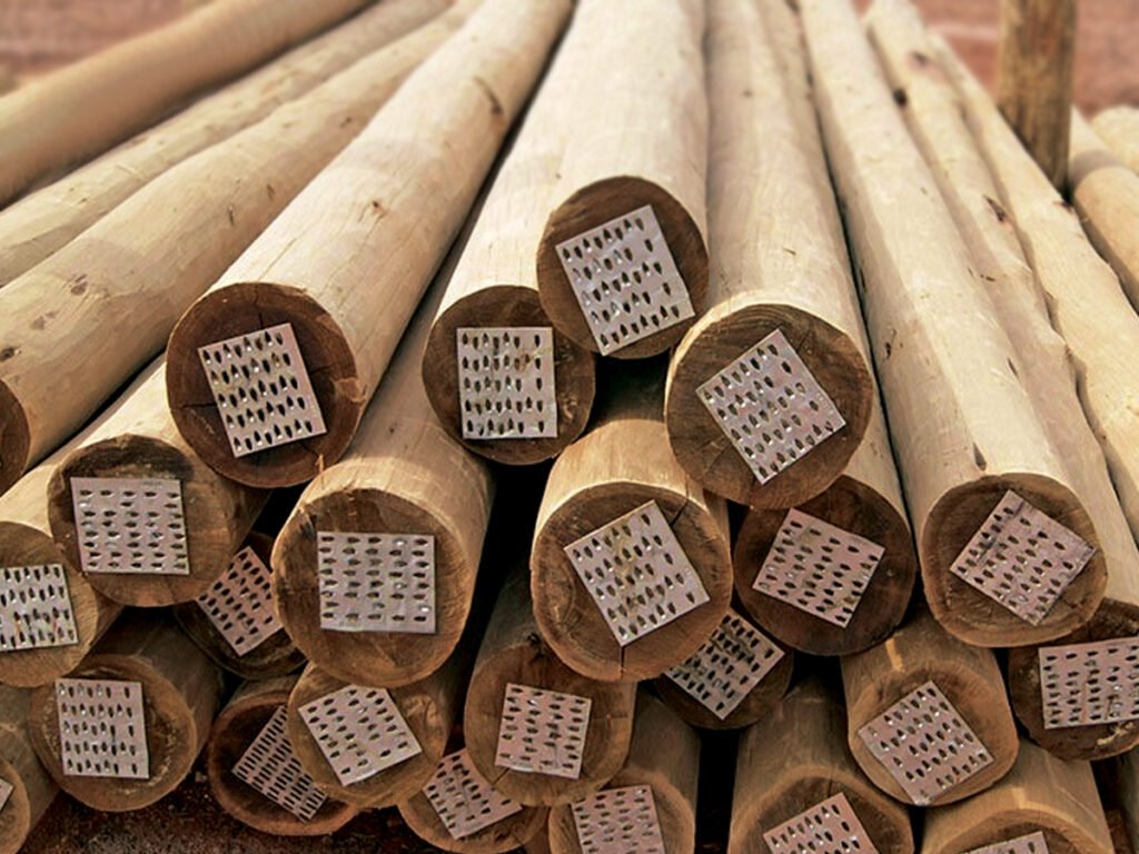 Plywood with autoclave treatment